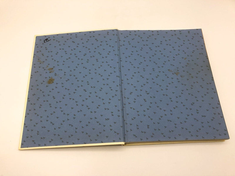 The Birds Around Us Ortho Books 1986 Hardcover Full Color Guide to Birdwatching 6