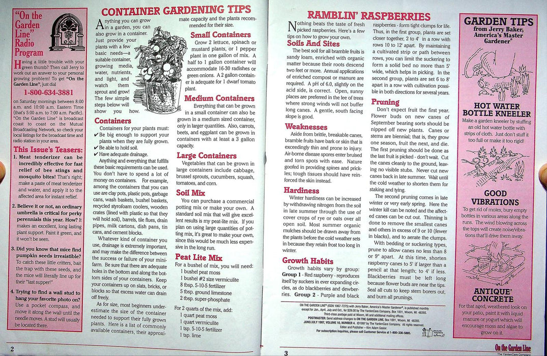 On The Garden Line Magazine June 1997 Container Gardening, Dazzling Dahlias