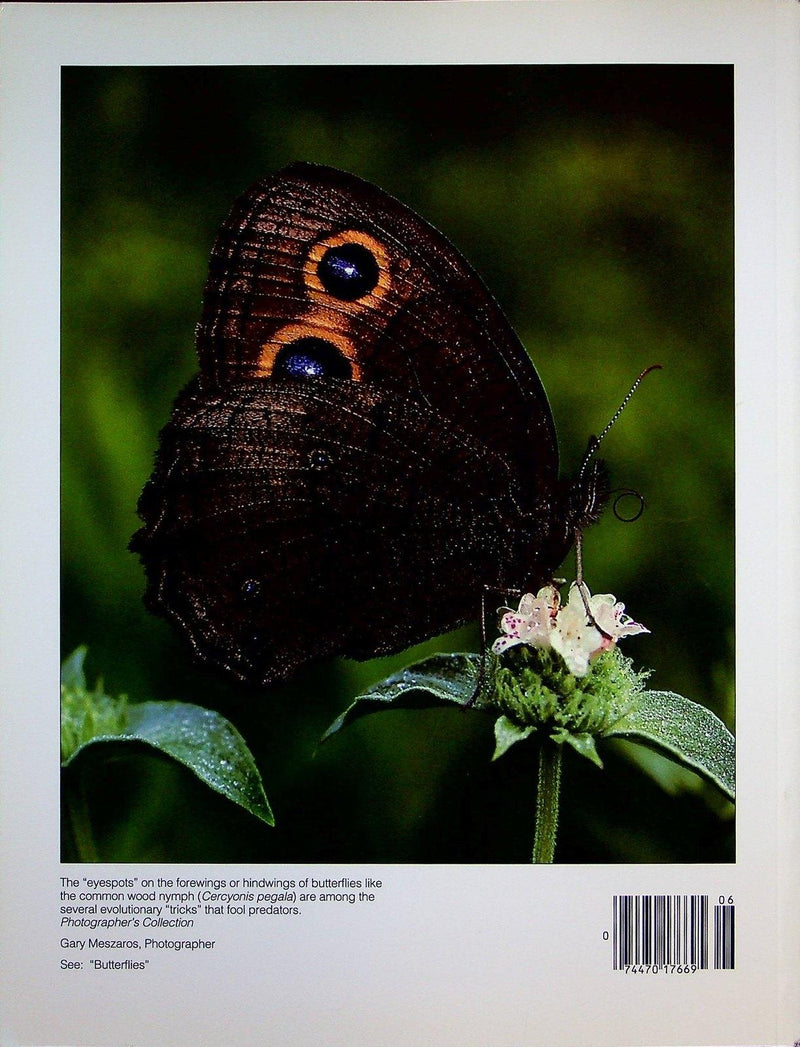 Timeline Ohio Historical Magazine July 1991 Vol 8 #3 1st Transatlantic Flight 3