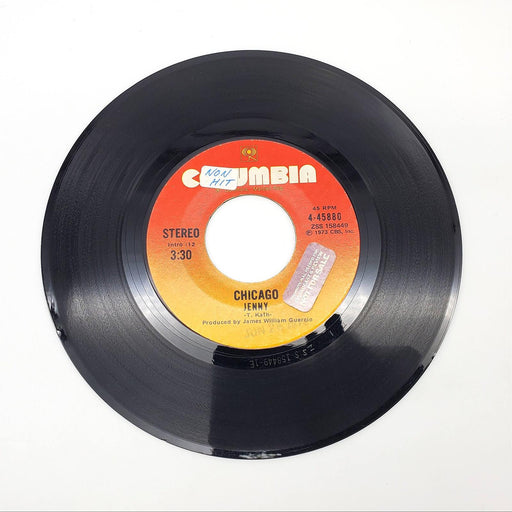 Chicago Feelin' Stronger Every Day Single Record Columbia 1973 4-45880 2