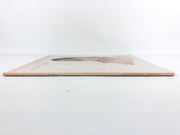 Rita Coolidge Love Me Again Record LP Vinyl SP-4699 A&M 1978 Gatefold 4