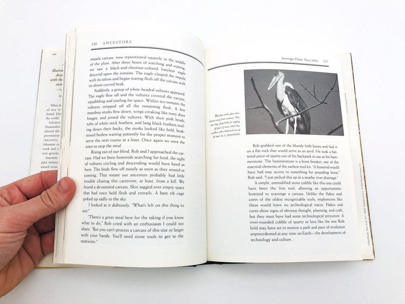 Ancestors Hardcover Donald Johanson 1994 In Search of Human Origins 1st Edition 9