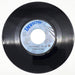 Freda Payne You Brought The Joy 45 RPM Single Record Invictus 1971 1