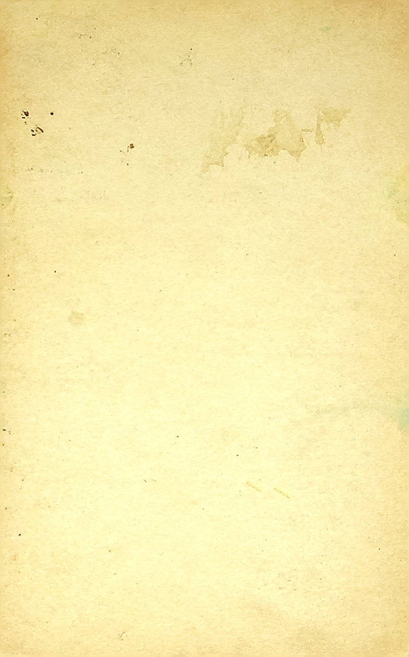 1948 Exhibit Supply Co Humor Card Arcade Clowns Circus Parade Elephant Woman