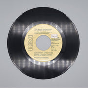 The Main Ingredient Just Don't Want To Be Lonely Single Record RCA 1974 PROMO 1