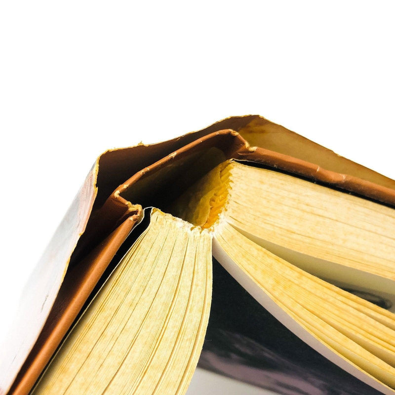 Infamous Woman The Life Of George Sand Hardcover Joseph Barry 1976 French Writer 11