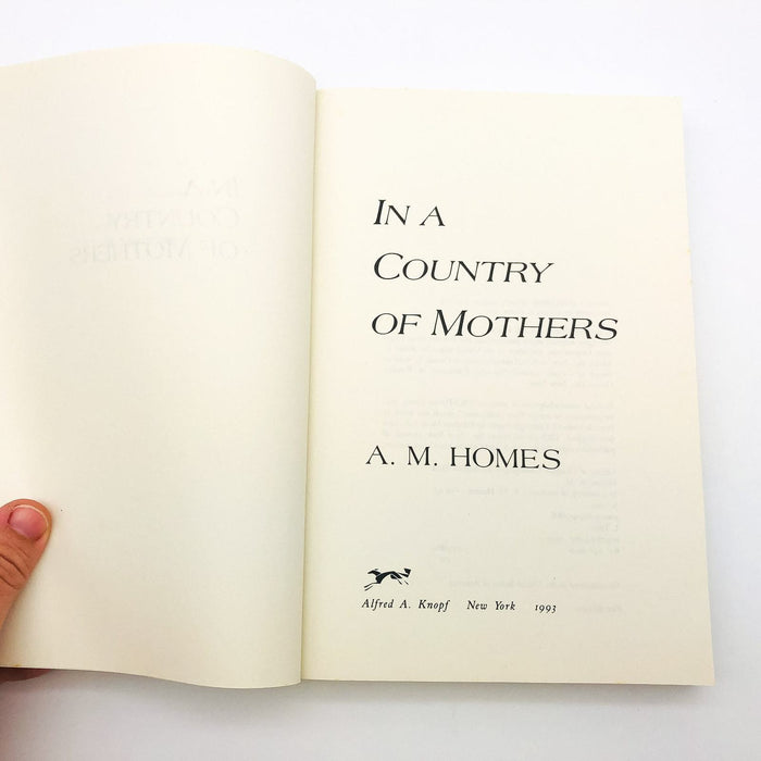 In A Country Of Mothers Paperback A. M. Homes 1993 Psychotherapist Relationships 6