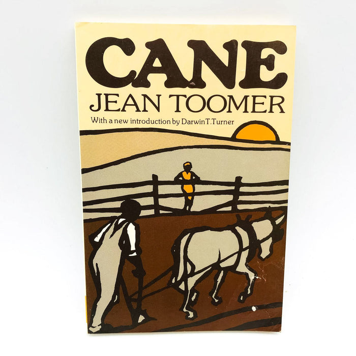 Cane Paperback Jean Toomer 1975 African American Social Issue Southern Town 1