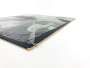 Tony Orlando & Dawn Skybird Record LP Vinyl AL 4059 Arista 1975 5