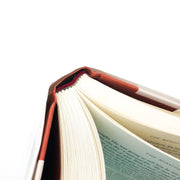 The Minotaur Hardcover Barbara Vine 2005 Nurse Schizophrenic Inheritance Ex Libr 11