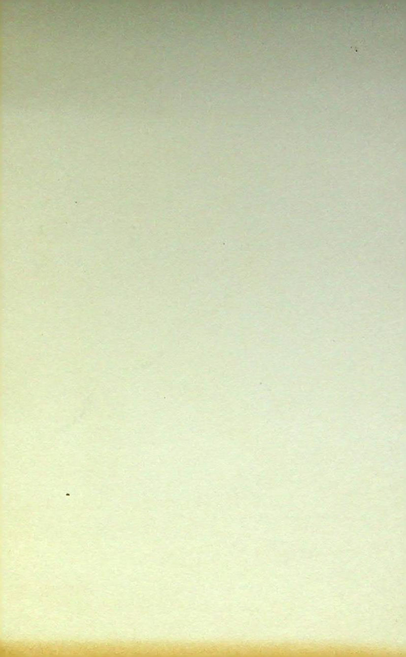 US 50s Pin Up Promo Photo Card Woman Bikini Swimsuit Paddle Board BW Green Tint