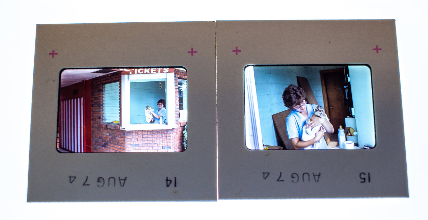 Vintage 35mm Photo Transparency Slides - Woman w/ Baby Tiger 1974 | Lot of 2