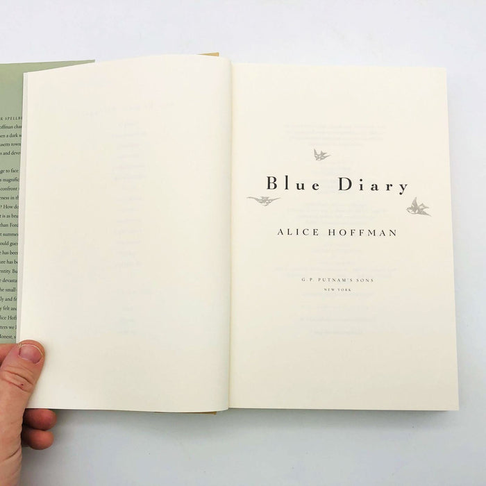 Alice Hoffman Book Blue Diary Hardcover 2001 1st Edition Murder Trial Small Town 7