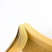 Guided Tours Of Hell Paperback Francine Prose 2002 Charisma Societal Change 9