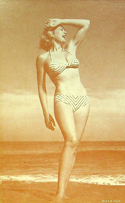 US 50s Pin Up Promo Photo Card Woman Model Bikini Swimsuit Chevron Print Beach