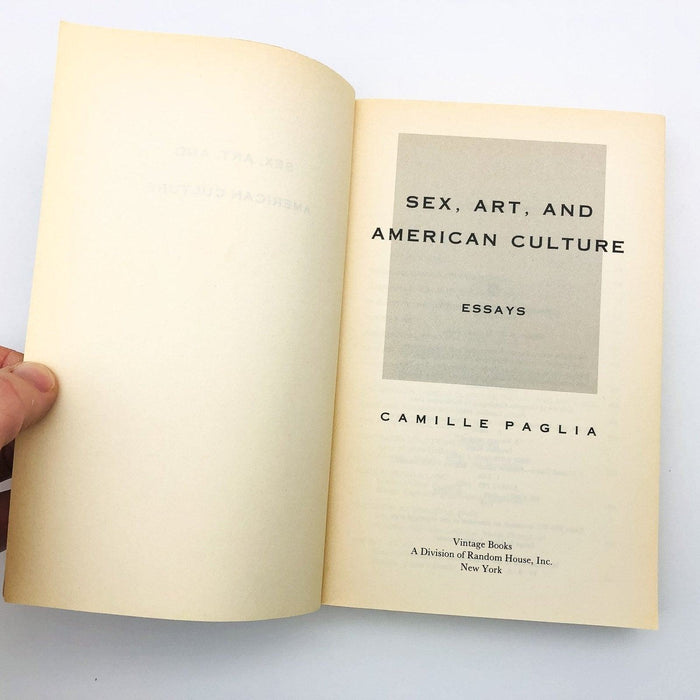 Sex Art and American Culture Paperback Camille Paglia 1992 Popular Culture 6