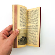 Forever Free Paperback Joy Adamson 1964 Lioness Cubs Family Human Caretakers 8