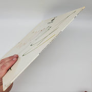 Paul Johnson Singers Believer LP Record Greentree Records 1980 R-3582 3