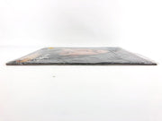 Eddie Rabbitt Step by Step Record LP Vinyl 5E-532 Elektra 1981 4