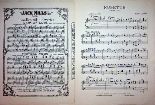 Rosette Novelette for Piano Vintage Sheet Music Billy James 1922 Piano Song 2