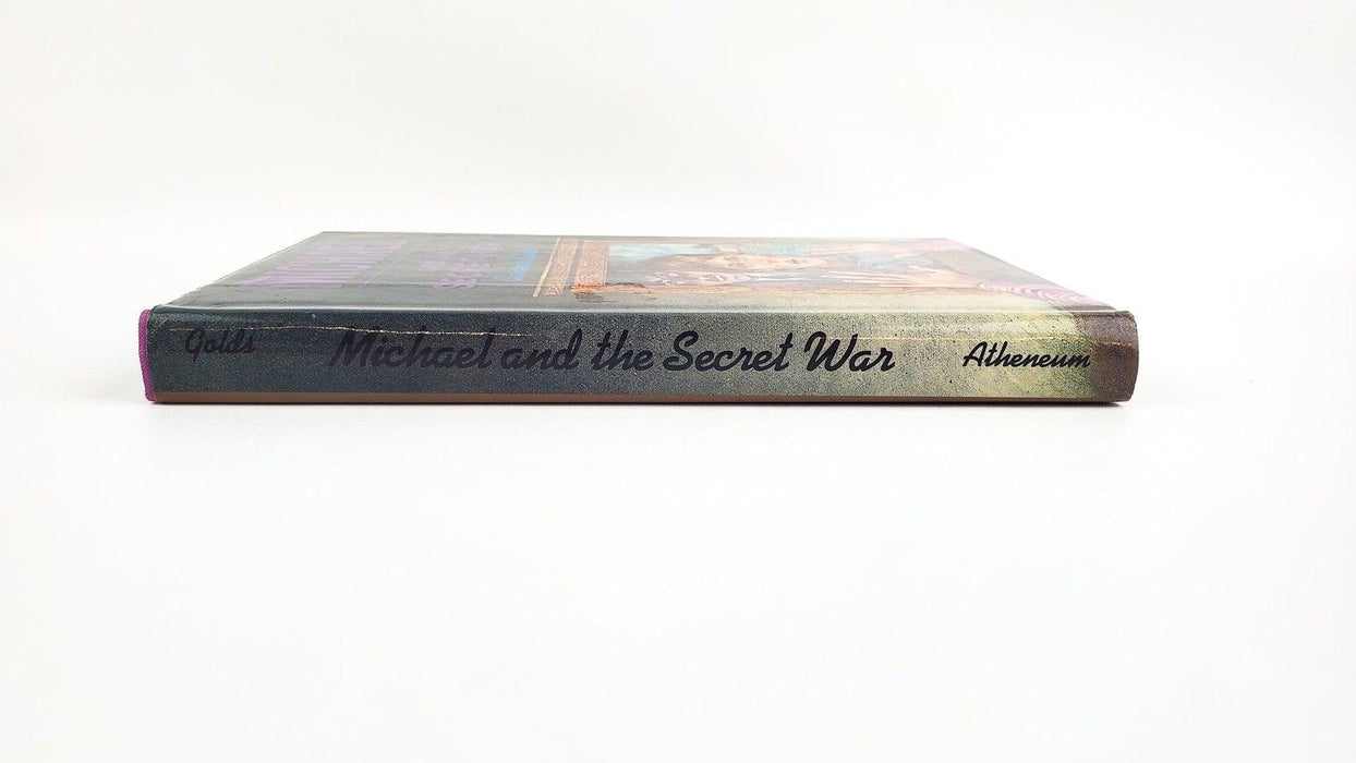 Michael and the Secret War by Cassandra Golds 1989 Atheneum HCDJ 7