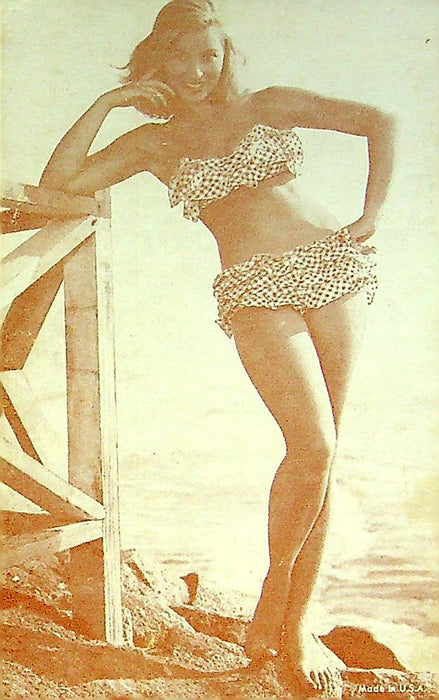 US 50s Pin Up Promo Photo Card Woman Model Bikini Swimsuit Beach Gingham Print