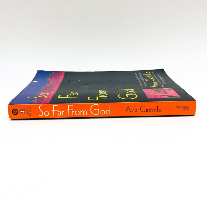 So Far From God Paperback Ana Castillo 1994 Life Love Family New Mexico Culture 3