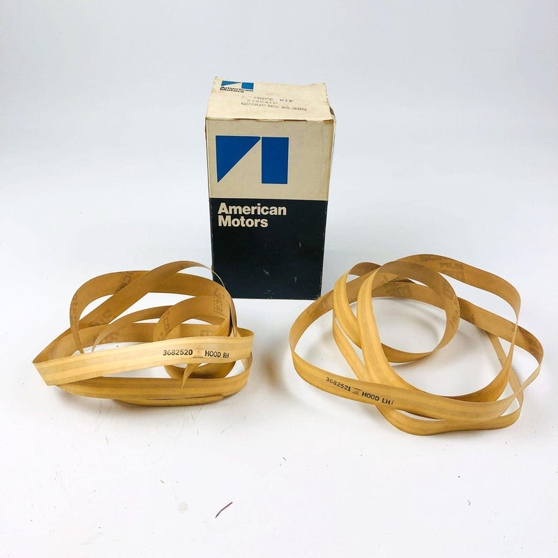 AMC 8125410 Stripe Kit Hood Decal 3682520 RH 3682521 LH Genuine OEM New NOS