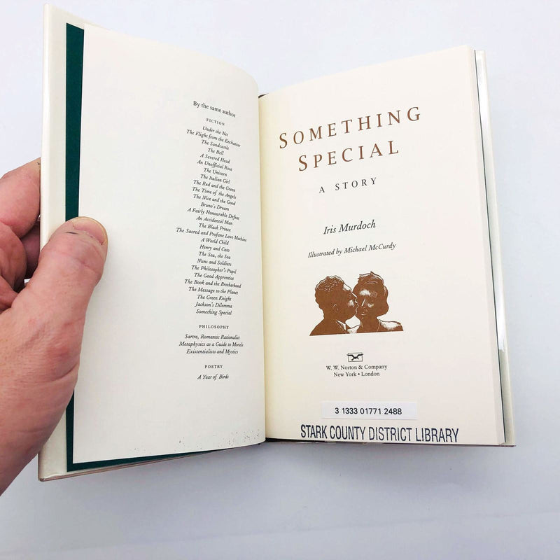 Iris Murdoch Book Something Special Hardcover 2000 1st Edition Irish Girl Marry 7