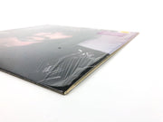 Gary Morris Faded Blue Vinyl Record 25069-1 Warner Bros. 1984 "Bed of Roses" 5