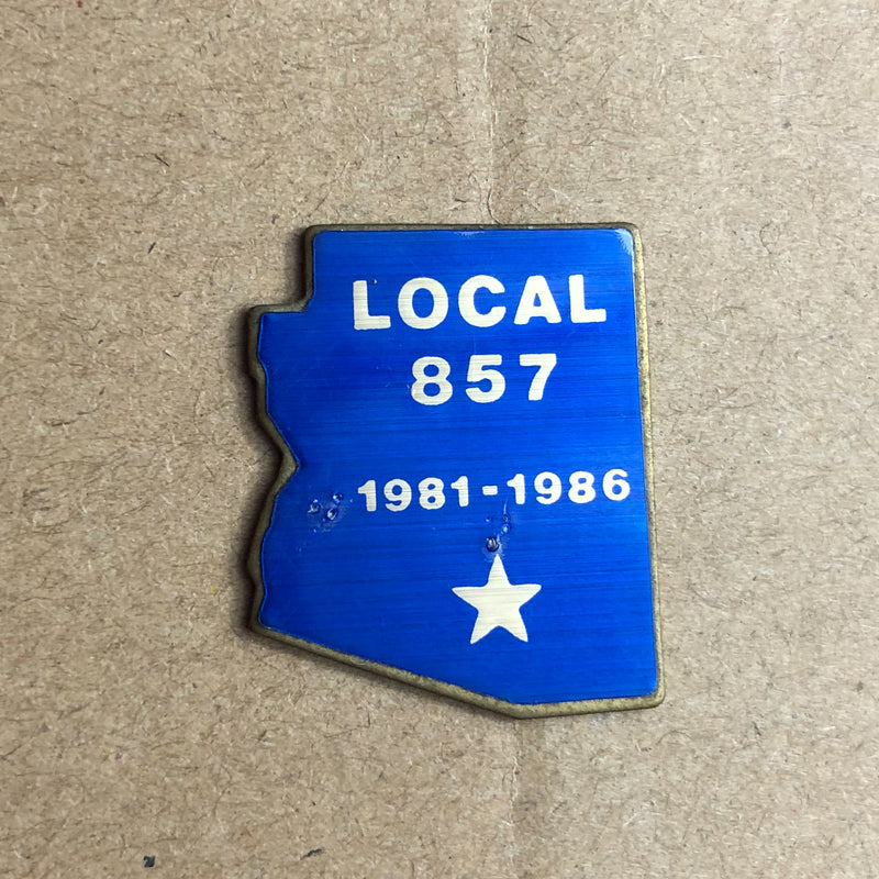 United Brotherhood of Carpenter's UBC Lapel Pin Local 857 Arizona State Outline 2