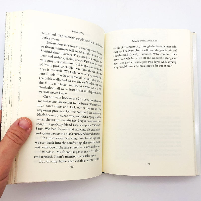 Sleeping At The Starlite Motel HC Bailey White 1995 Comedy Road Trip 1st Edition 9