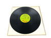 Robin Trower Long Misty Days Record 33 RPM LP CHR-1107 Chrysalis Records 1976 8