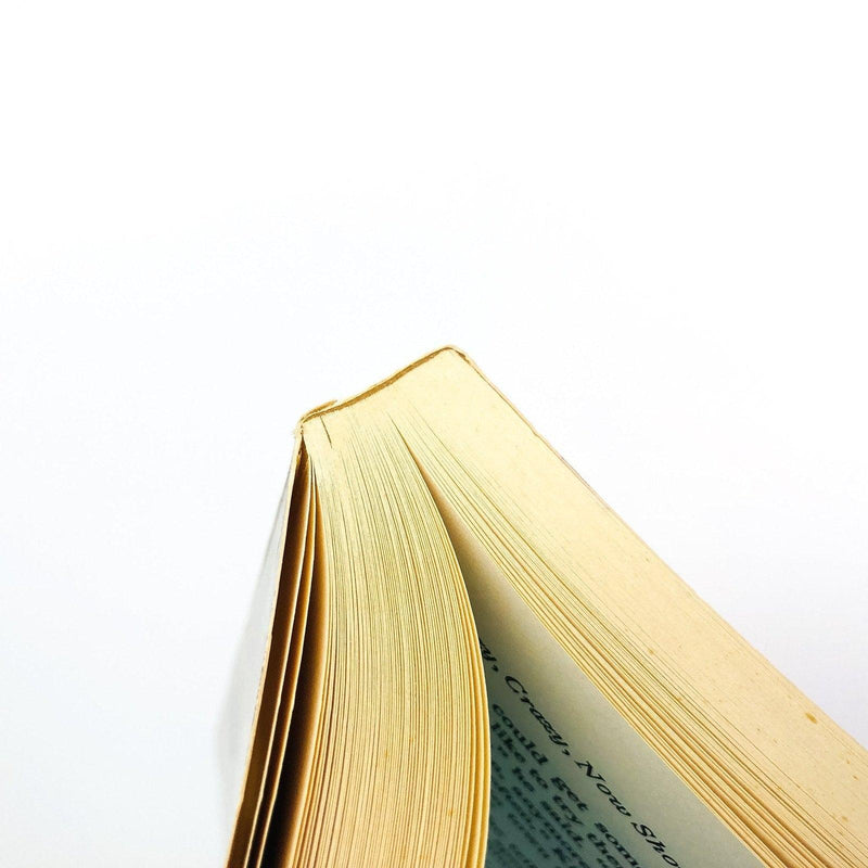 Victory Over Japan Paperback Ellen Gilchrist 1984 Southern Women Short Stories 9