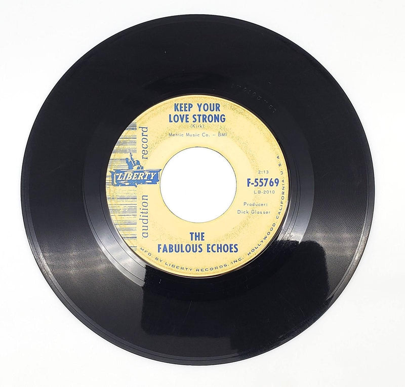 The Fabulous Echoes I Never Knew 45 RPM Single Record Liberty 1965 55769 2