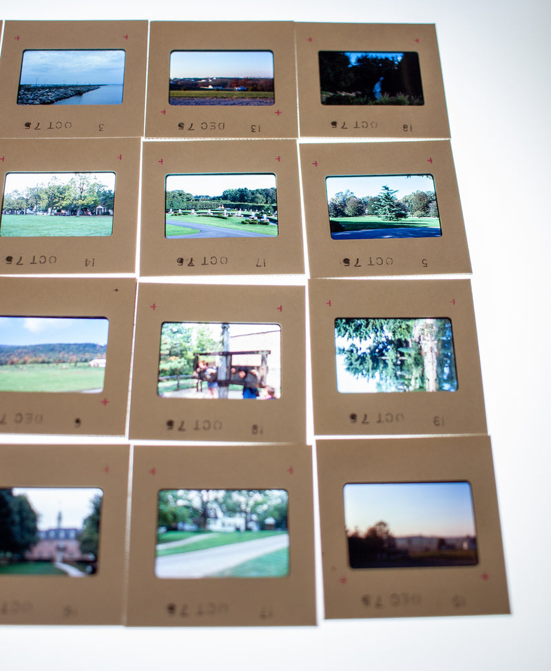 Vintage 35mm Photo Transparency Slides - Longwood Garden 1975 | Lot of 60