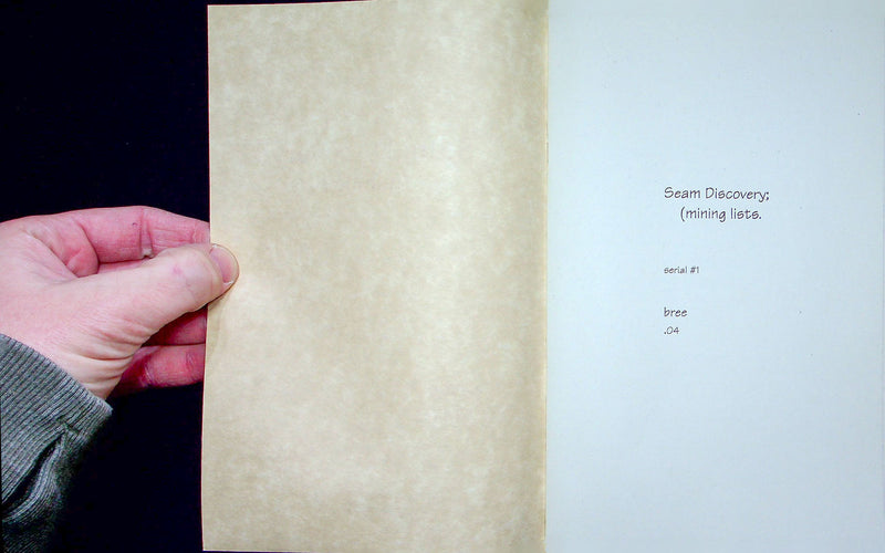 Zine Poetry Seam Discovery Mining Lists Poems 2004 Bree Cleveland OH DIY Culture