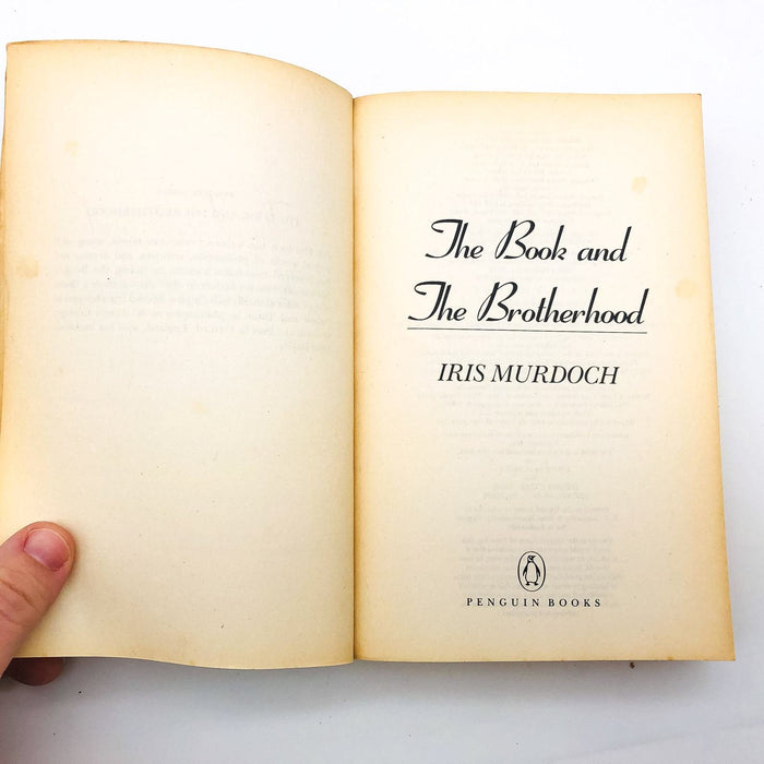 The Book And The Brotherhood Paperback Iris Murdoch 1989 Friendship Authors 6