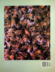 Timeline Ohio Historical Magazine July/Aug 1993 Vol 10 No 4 Graham Bell Aerial 3