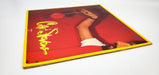 Cat Stevens Izitso 33 RPM LP Record A&M 1977 SP-4702 4
