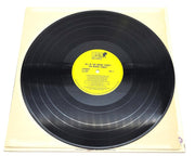 The Pat Boone Family All in the Boone Family 33 RPM LP Record MGM Records 1972 6