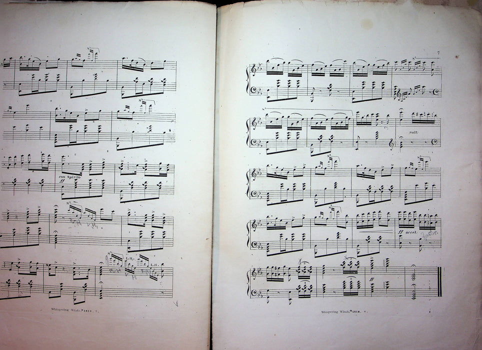 Whispering Winds Polka Brillante Vintage Sheet Music EH Lohfink 1810 JL Peters 4