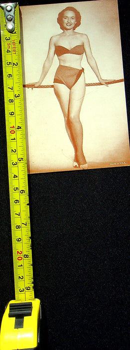 US 50s Pin Up Promo Photo Card Woman Model Bikini Swimsuit Military Ship Rope