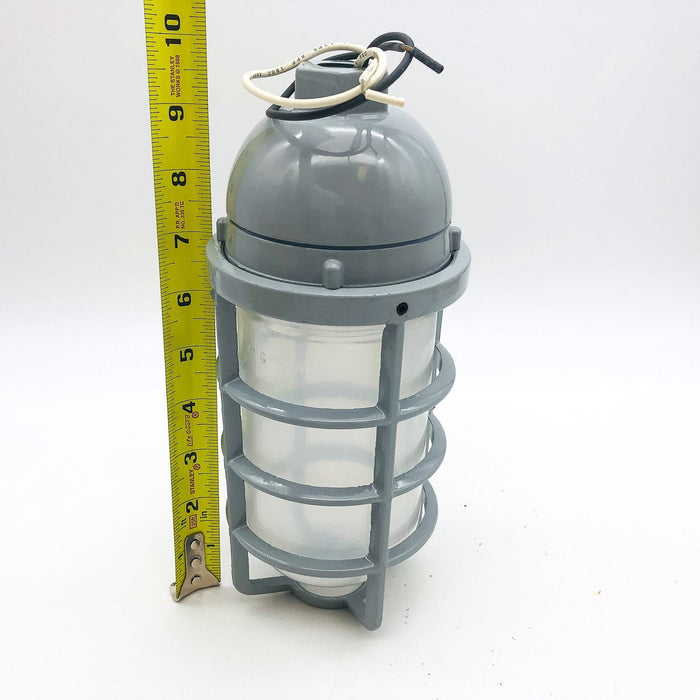 Guth Lighting VPP100IG Light Fixture Nautical Pendant Vaporproof Cage Glass 10