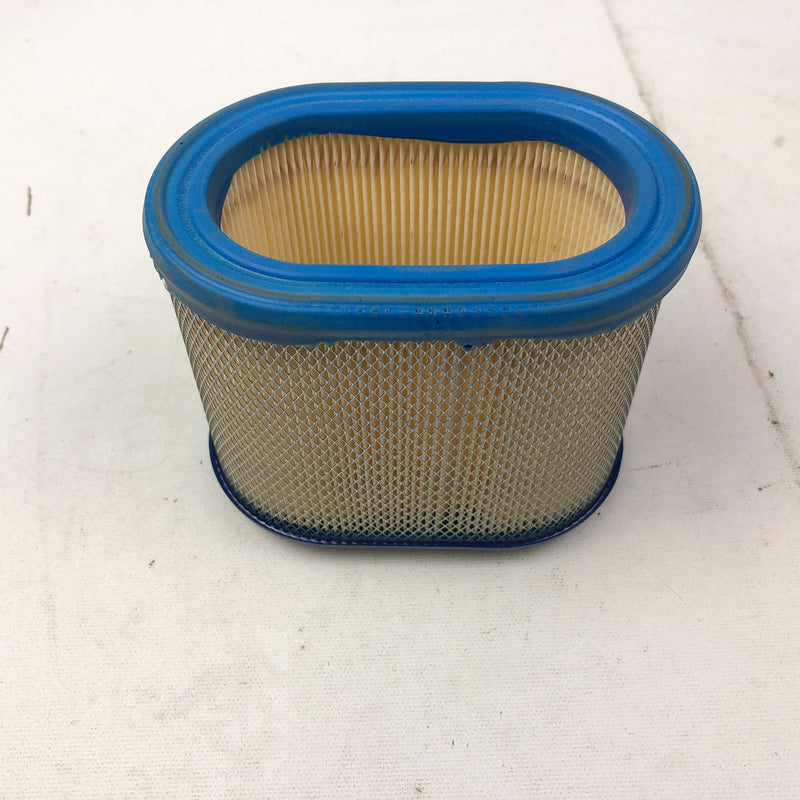 Briggs and Stratton 663102 695302 Filter For Lawn Mower Engine New NOS OEM