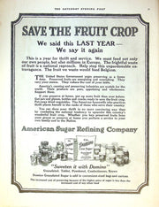 1917 Scripps-Booth Roadster 4 Cylinder Print Ad Valve-In-Head Motor 14"x11" 2