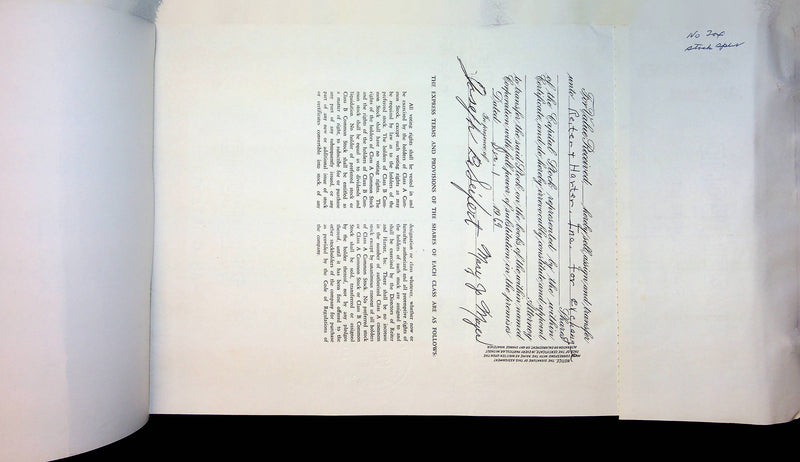 Reiter Dairy Company Stock Certificate Bond Scripophilly Akron Ohio 1965 No 205