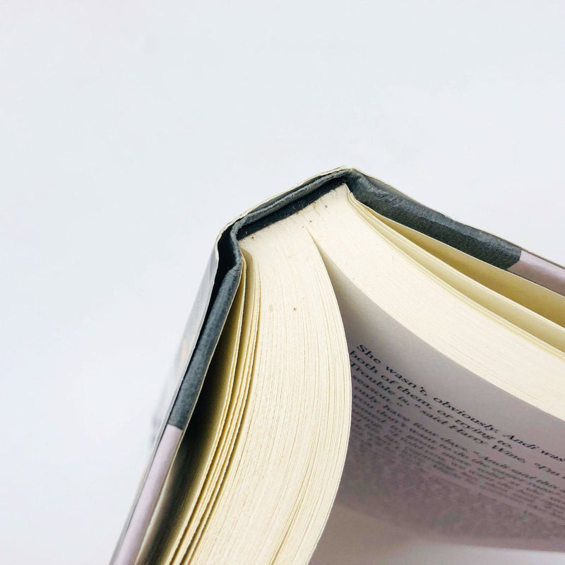 Martha Grimes Book Biting The Moon Hardcover 1999 1st Edition Werewolf Amnesia 10