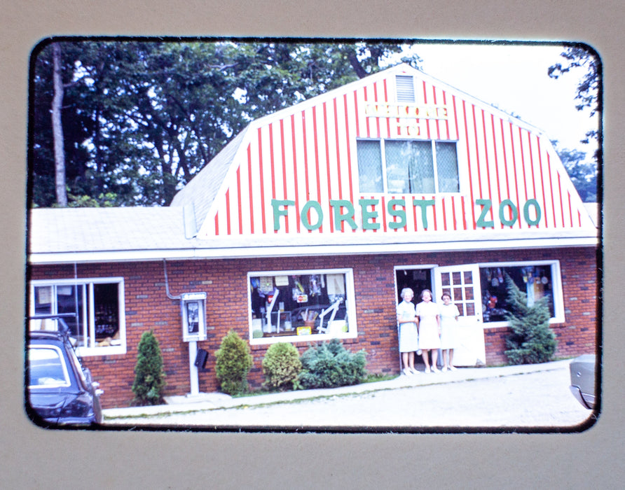 Vintage 35mm Photo Transparency Slides - Family Trip '74, '75, '80 | Lot of 3