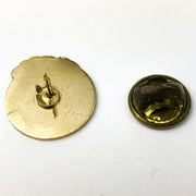 Vintage American Red Cross ARC Pinback Central Arizona Chapter Phoenix Rising 2